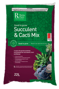 SucculentCacti